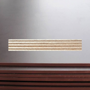 Sperrholz Eucalyptus wasserfest Film/Film 1250x2500x15 mm